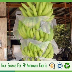 China vervaardiging banaan beschermen tas