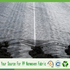 spunbond nonwoven