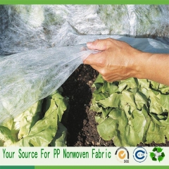 pp nonwoven
